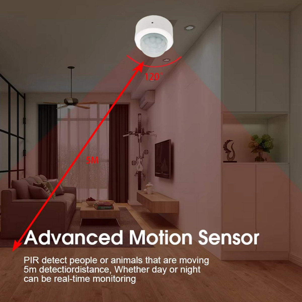 เซ็นเซอร์ตรวจจับความเคลื่อนไหว - Smart Home Certification บทวิจารณ์และราคา
