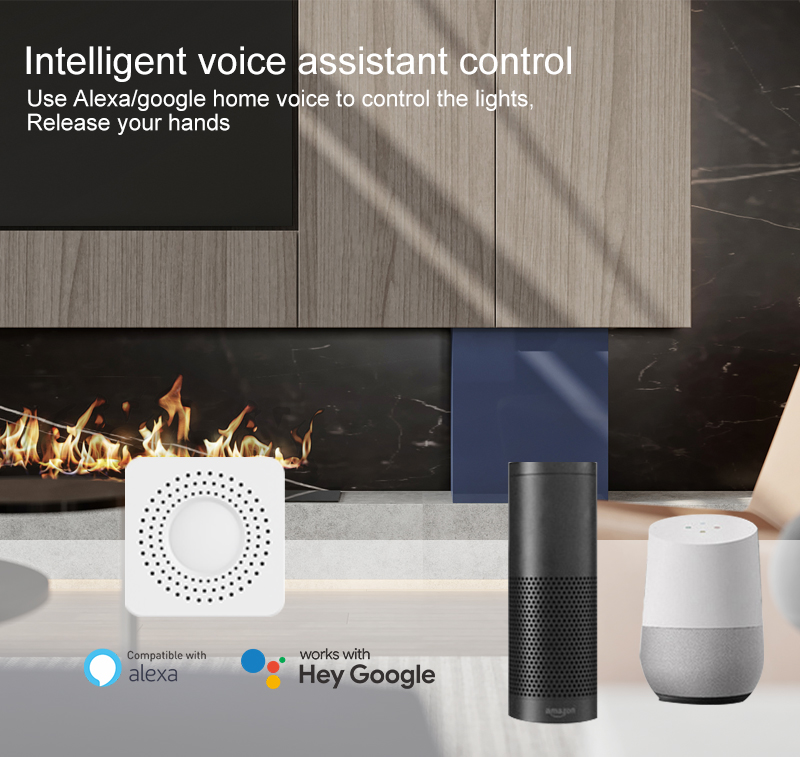 สวิตช์อัจฉริยะขนาดเล็ก Tuya Wi - Smart Home Alexa บทวิจารณ์และราคา