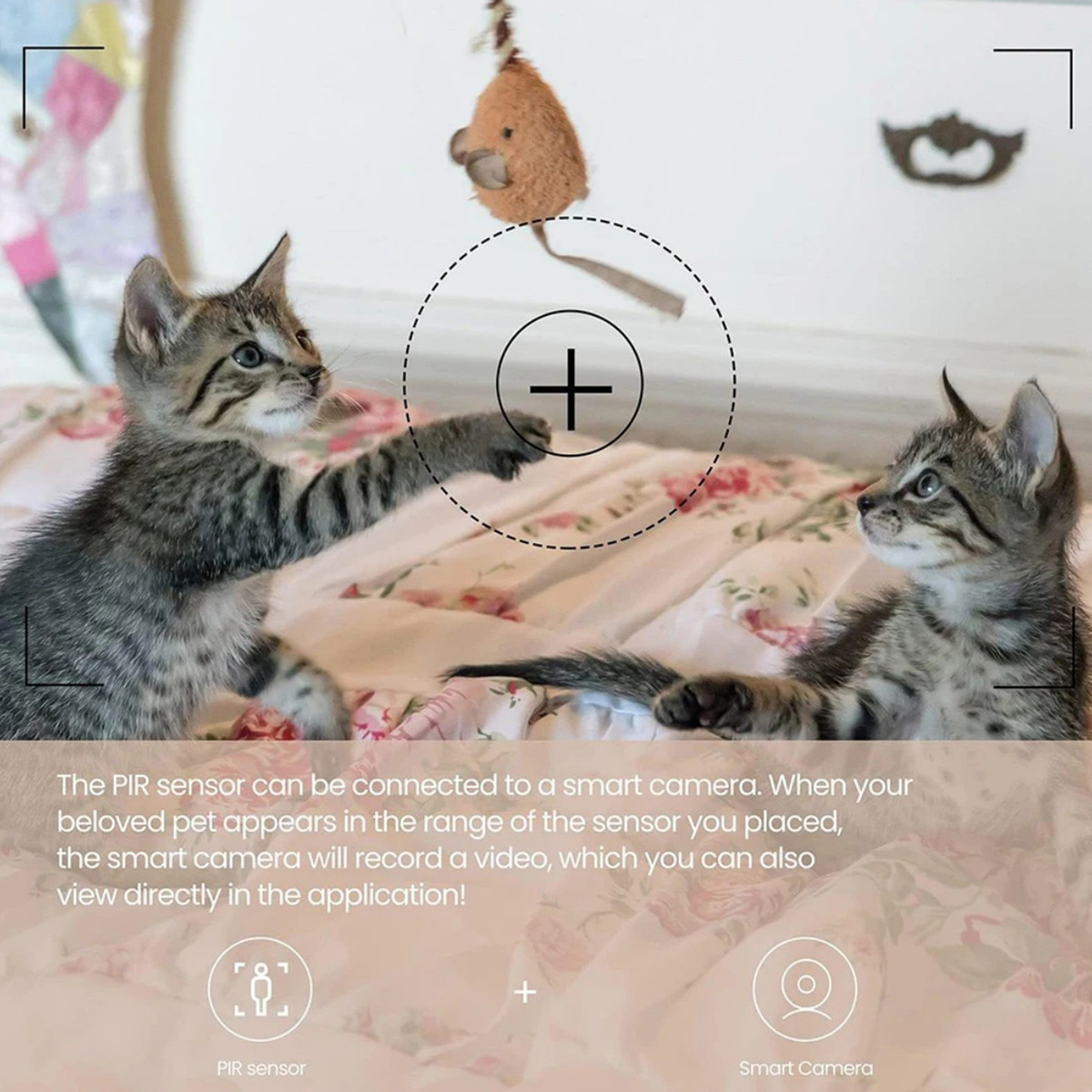 เซ็นเซอร์ตรวจจับความเคลื่อนไหว - Smart Home Certification บทวิจารณ์และราคา
